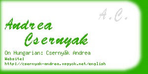 andrea csernyak business card