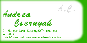 andrea csernyak business card